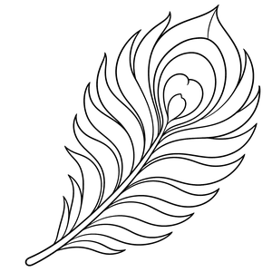 Peacock Feather colouring page